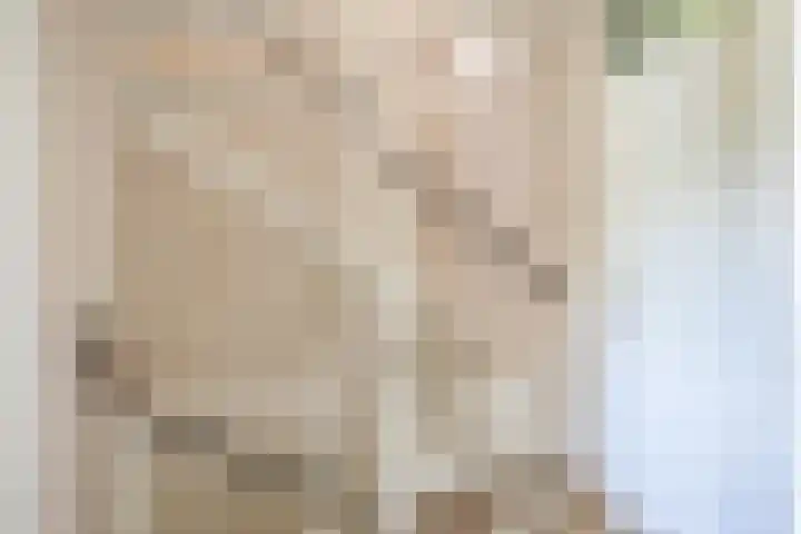 Mina Druckerhoeve 8 Waddinxveen thumbnail 17