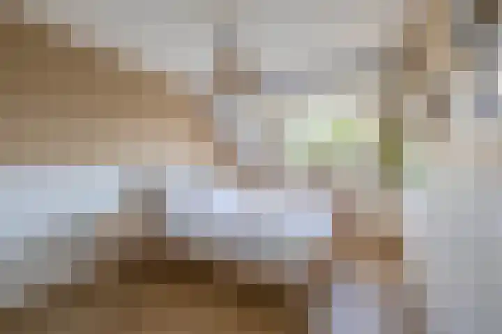 Mina Druckerhoeve 8 Waddinxveen thumbnail 18