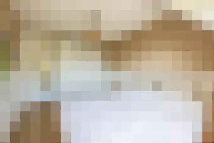 Mina Druckerhoeve 8 Waddinxveen thumbnail 19