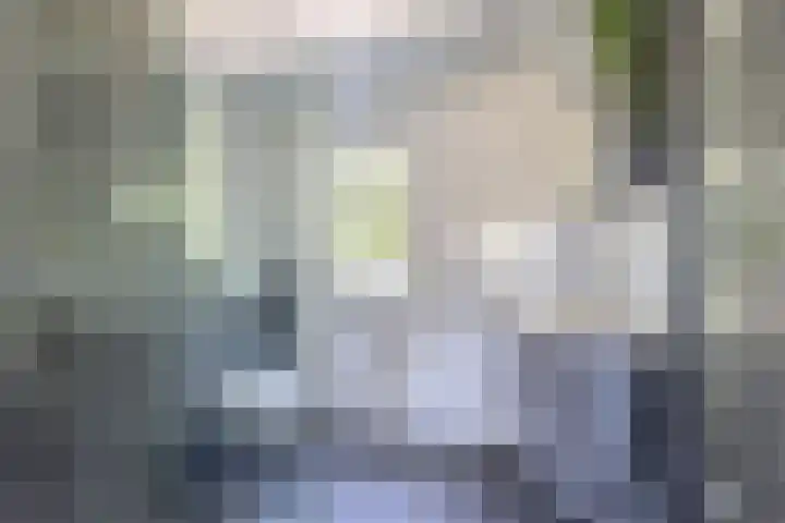 Mina Druckerhoeve 8 Waddinxveen thumbnail 20