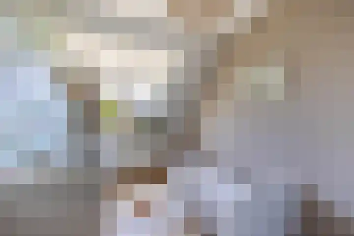 Mina Druckerhoeve 8 Waddinxveen thumbnail 22