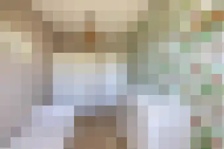 Mina Druckerhoeve 8 Waddinxveen thumbnail 23