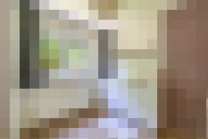 Mina Druckerhoeve 8 Waddinxveen thumbnail 24