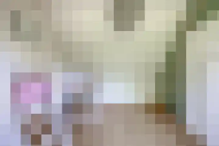 Mina Druckerhoeve 8 Waddinxveen thumbnail 26