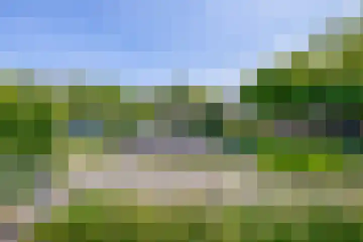 Mina Druckerhoeve 8 Waddinxveen thumbnail 31