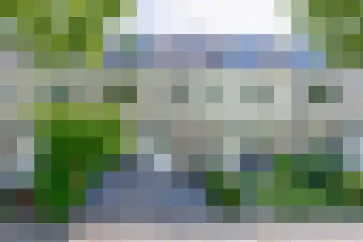 Mina Druckerhoeve 8 Waddinxveen thumbnail 4