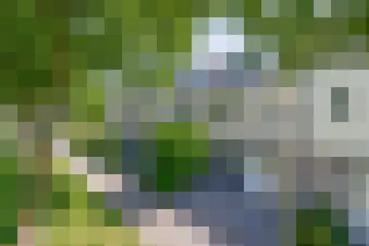 Mina Druckerhoeve 8 Waddinxveen thumbnail 5