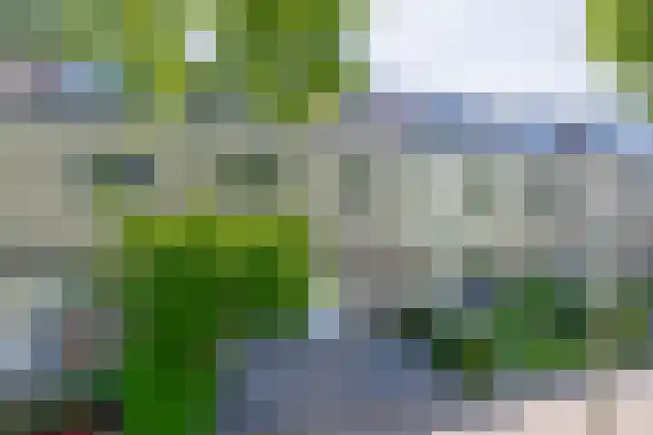 Mina Druckerhoeve 8 Waddinxveen thumbnail 6