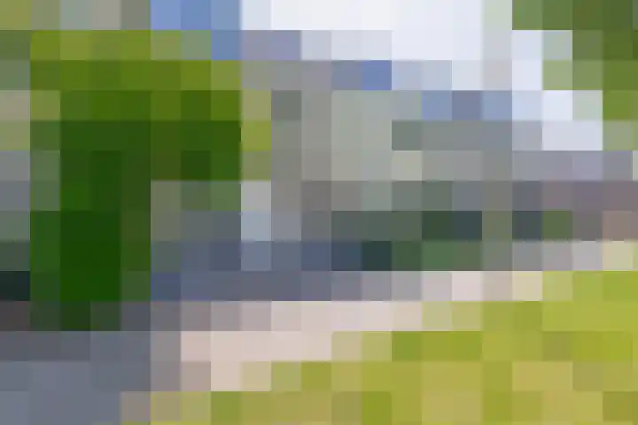 Mina Druckerhoeve 8 Waddinxveen thumbnail 7