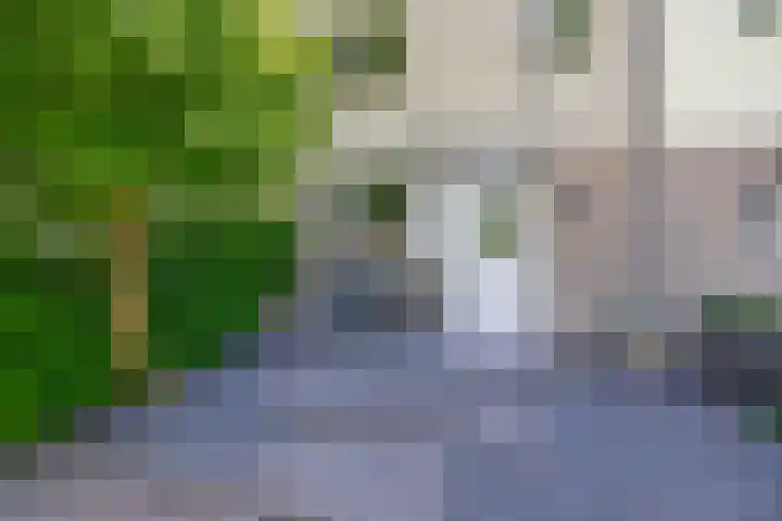 Mina Druckerhoeve 8 Waddinxveen thumbnail 8