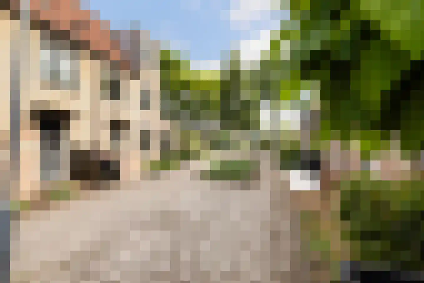 Mina Krüseman-erf 118 Dordrecht