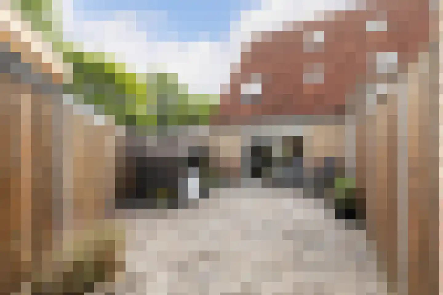 Mina Krüseman-erf 118 Dordrecht thumbnail 17