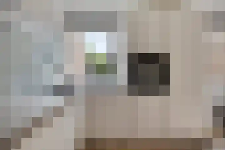 Mina Krusemanlaan 12 Deventer thumbnail 10