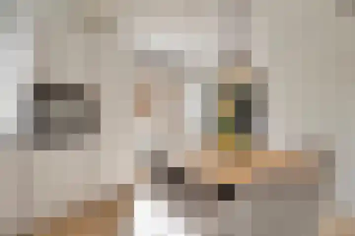 Mina Krusemanlaan 12 Deventer thumbnail 12
