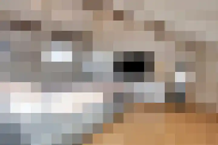 Mina Krusemanlaan 12 Deventer thumbnail 25