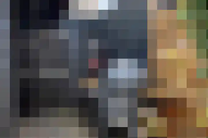 Mina Krusemanlaan 12 Deventer thumbnail 30