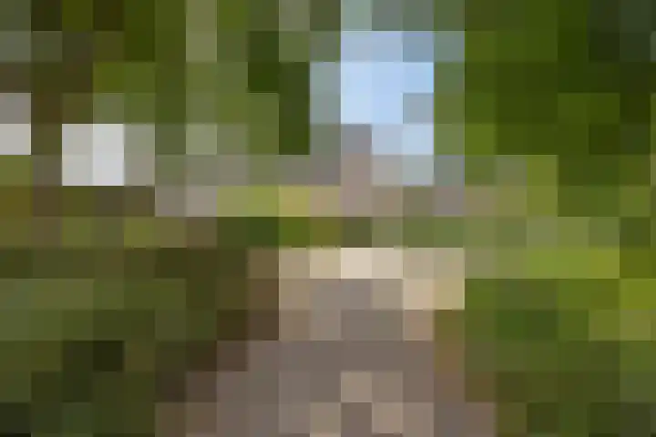 Mina Krusemanlaan 12 Deventer thumbnail 34