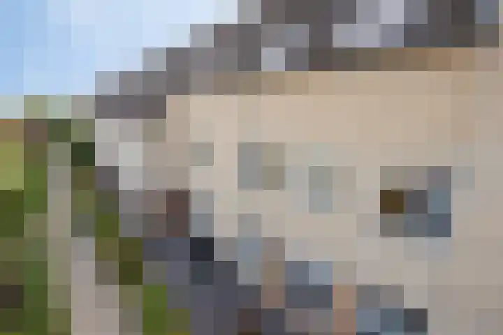 Mina Krusemanlaan 12 Deventer thumbnail 36