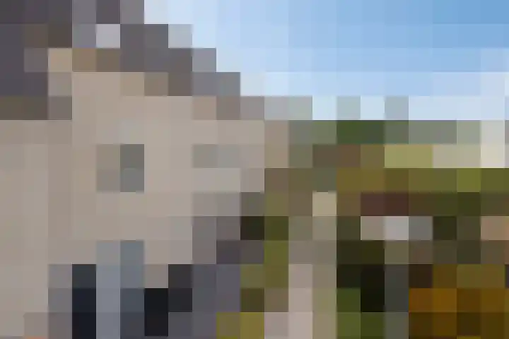 Mina Krusemanlaan 12 Deventer thumbnail 38