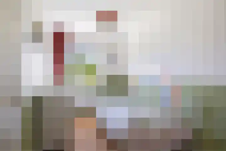 Mina Krusemanlaan 62 Deventer thumbnail 17