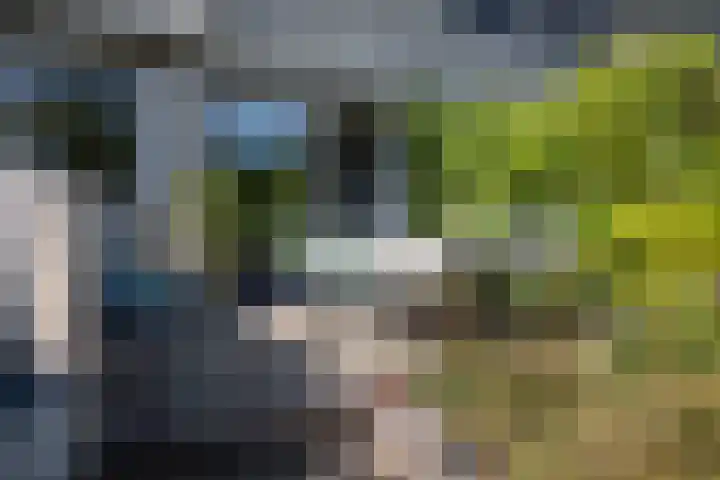 Mina Krusemanlaan 62 Deventer thumbnail 26
