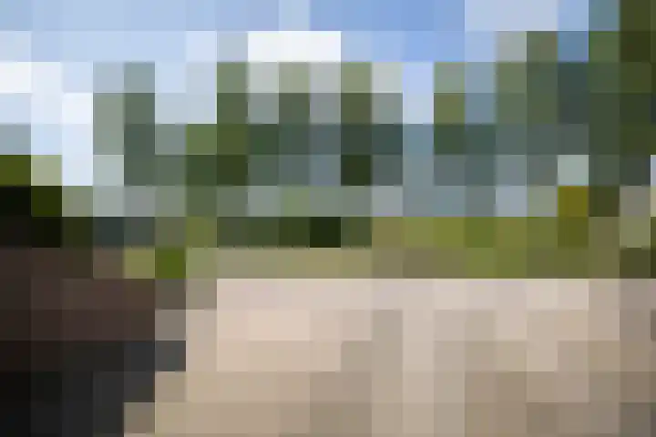 Mina Krusemanlaan 62 Deventer thumbnail 4