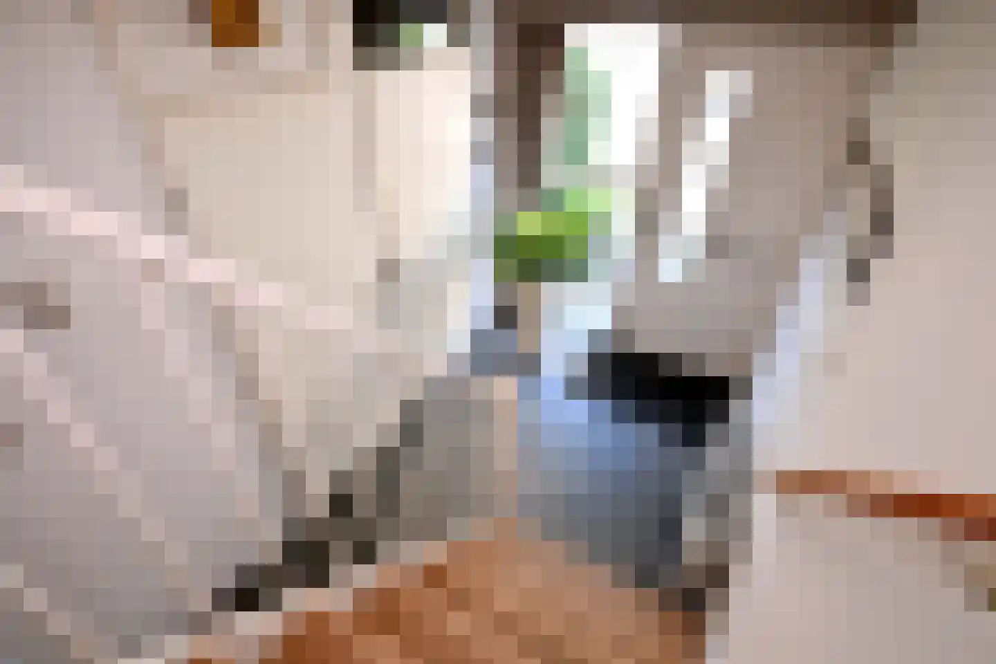 Mina Krusemanlaan 7 Deventer thumbnail 15