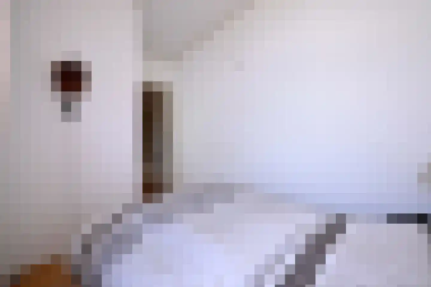 Mina Krusemanlaan 7 Deventer thumbnail 18