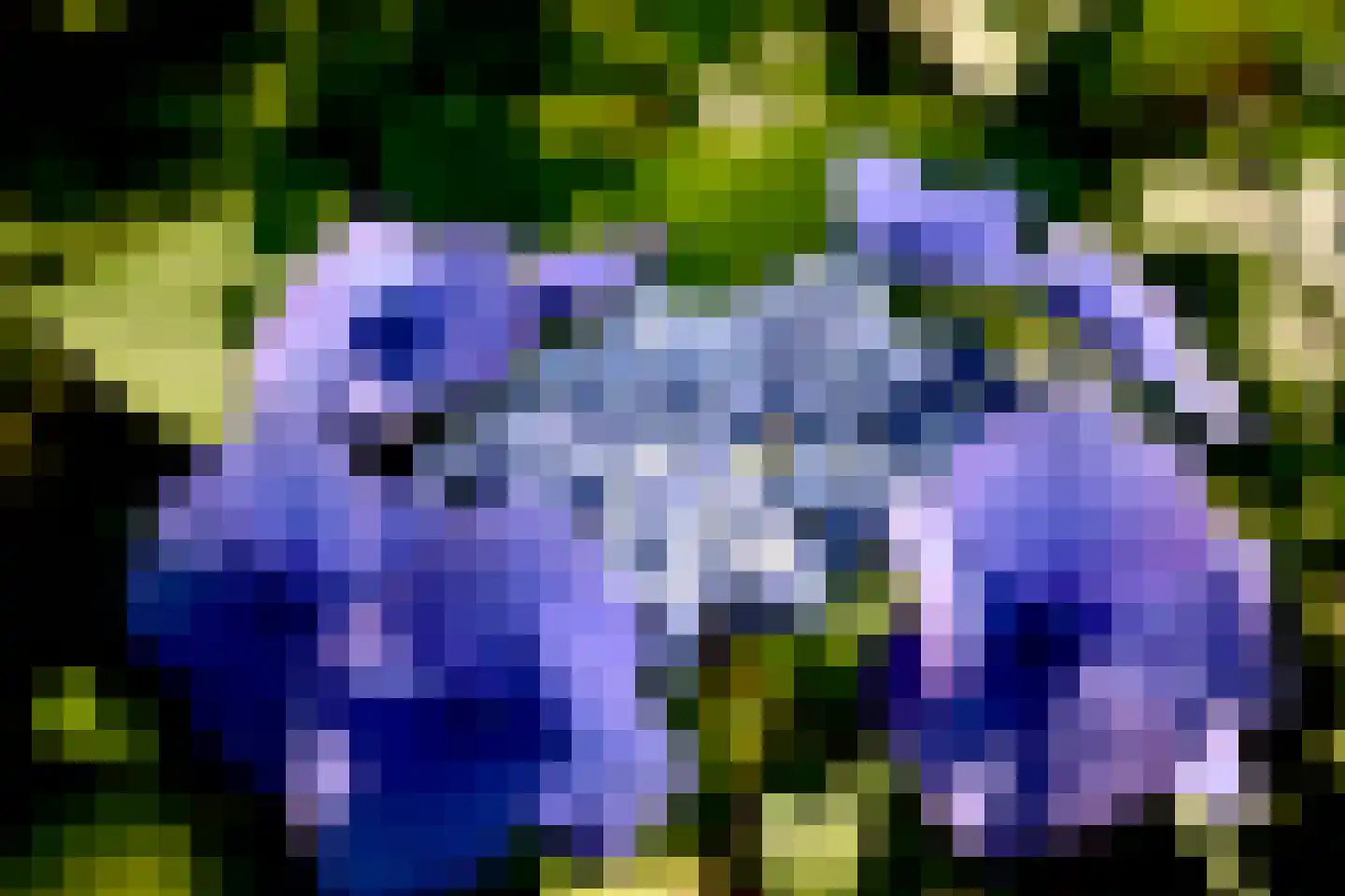 Mina Krusemanlaan 7 Deventer thumbnail 32