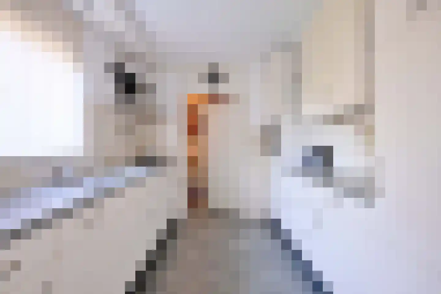 Mina Krusemanlaan 7 Deventer thumbnail 6