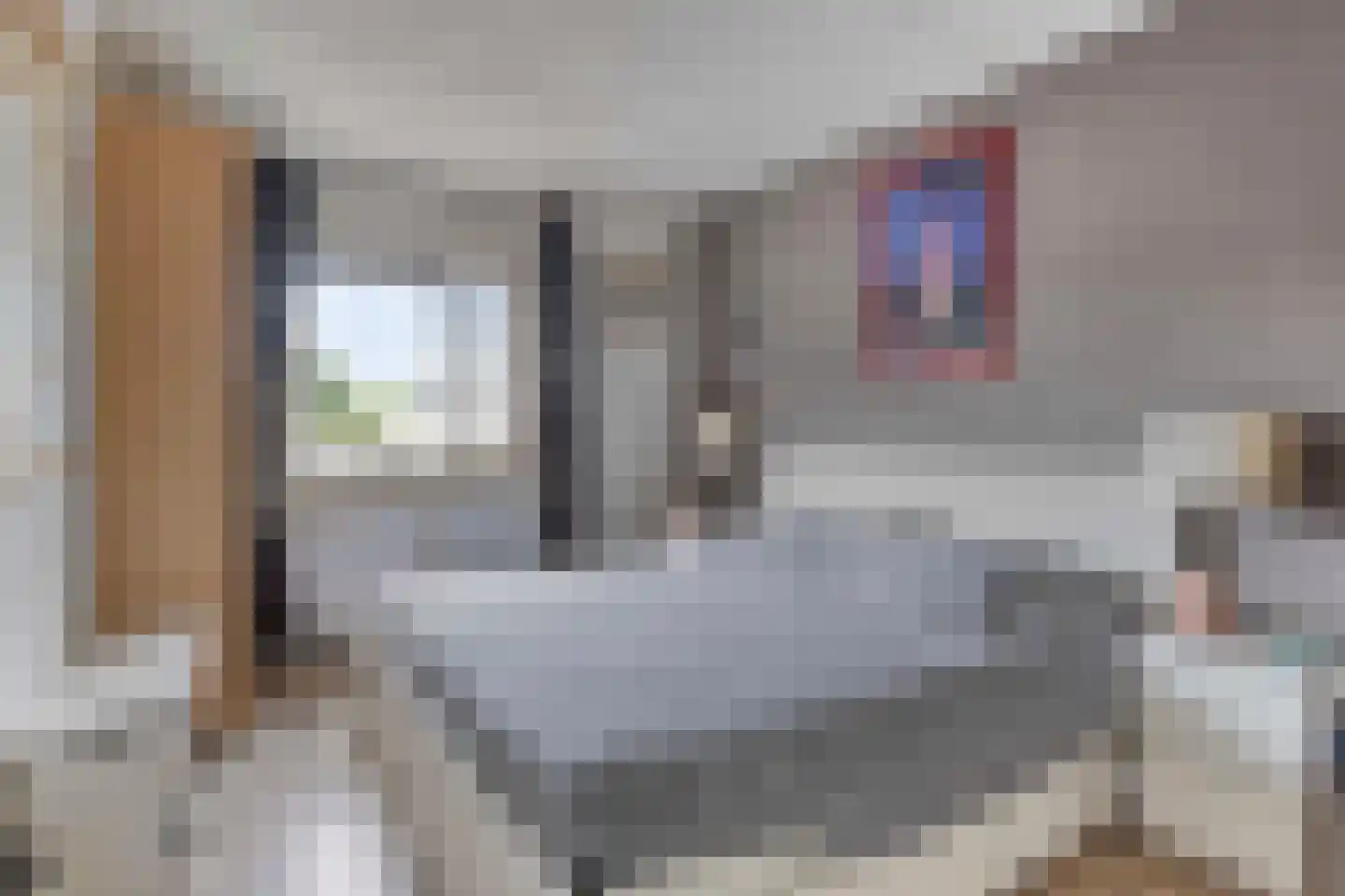 Mina Krusemanlaan 8 Deventer thumbnail 11