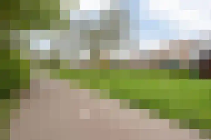 Mina Krusemanpark 101 Heemskerk thumbnail 27