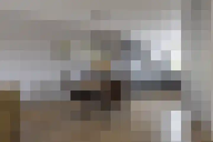 Mina Krusemanpark 101 Heemskerk thumbnail 6