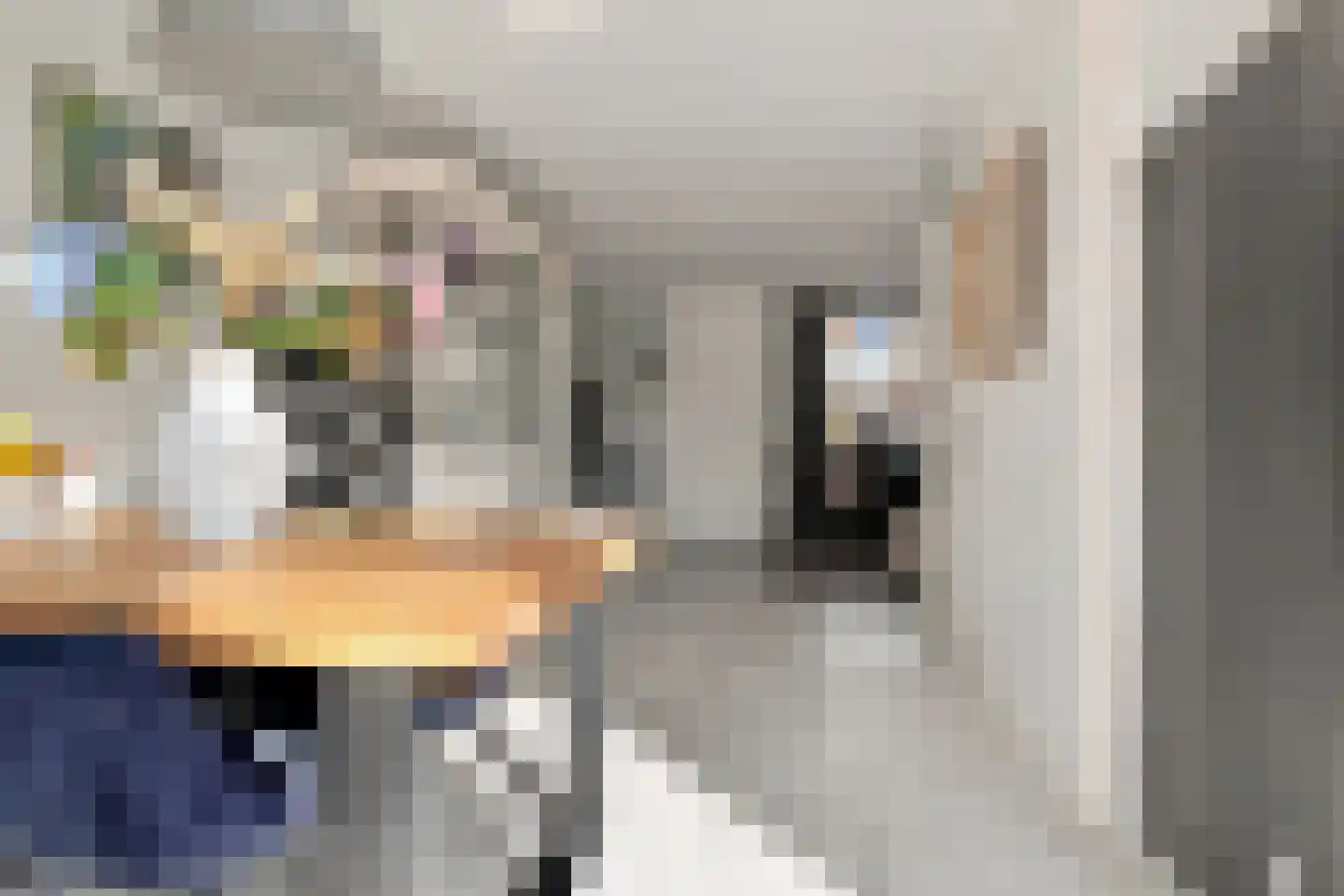 Mina Krusemanpark 116 Heemskerk thumbnail 19