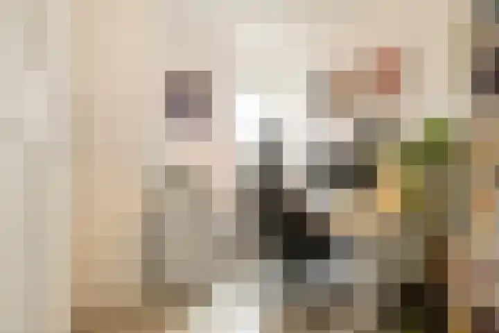Mina Krusemansingel 10 Veenendaal thumbnail 18