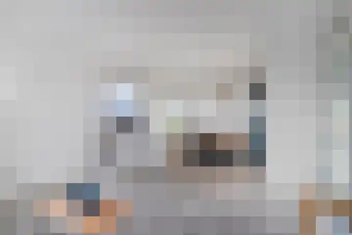 Mina Krusemansingel 100 Veenendaal thumbnail 13