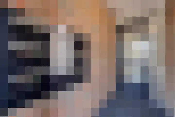 Mina Krusemansingel 100 Veenendaal thumbnail 30