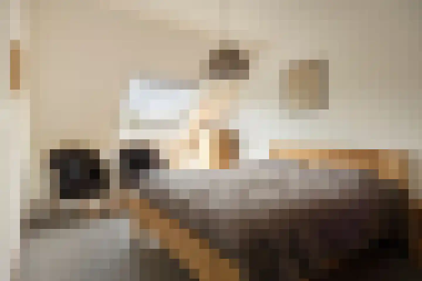 Mina Krusemanstraat 14 Spijkenisse thumbnail 15