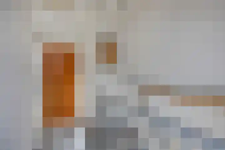 Mina Krusemanstraat 16 Pijnacker thumbnail 31