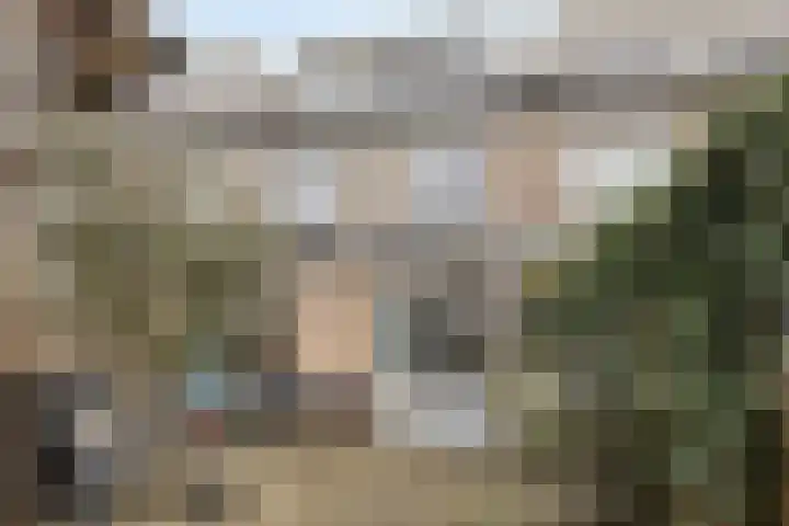 Mina Krusemanstraat 16 Pijnacker thumbnail 39