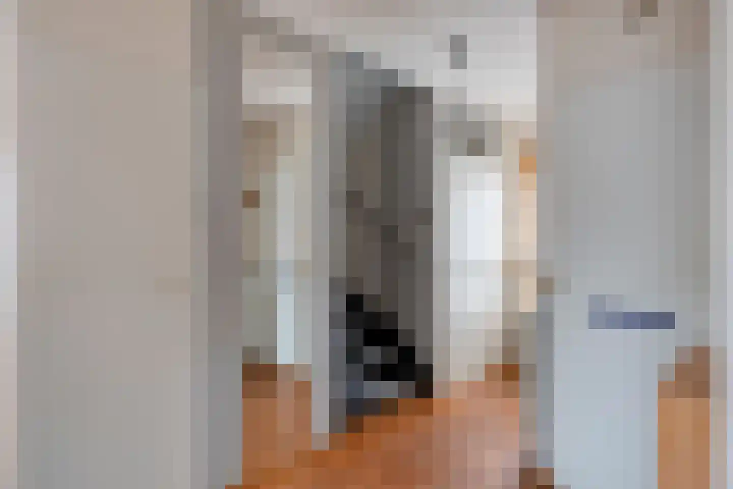 Mina Krusemanstraat 16 Pijnacker thumbnail 4
