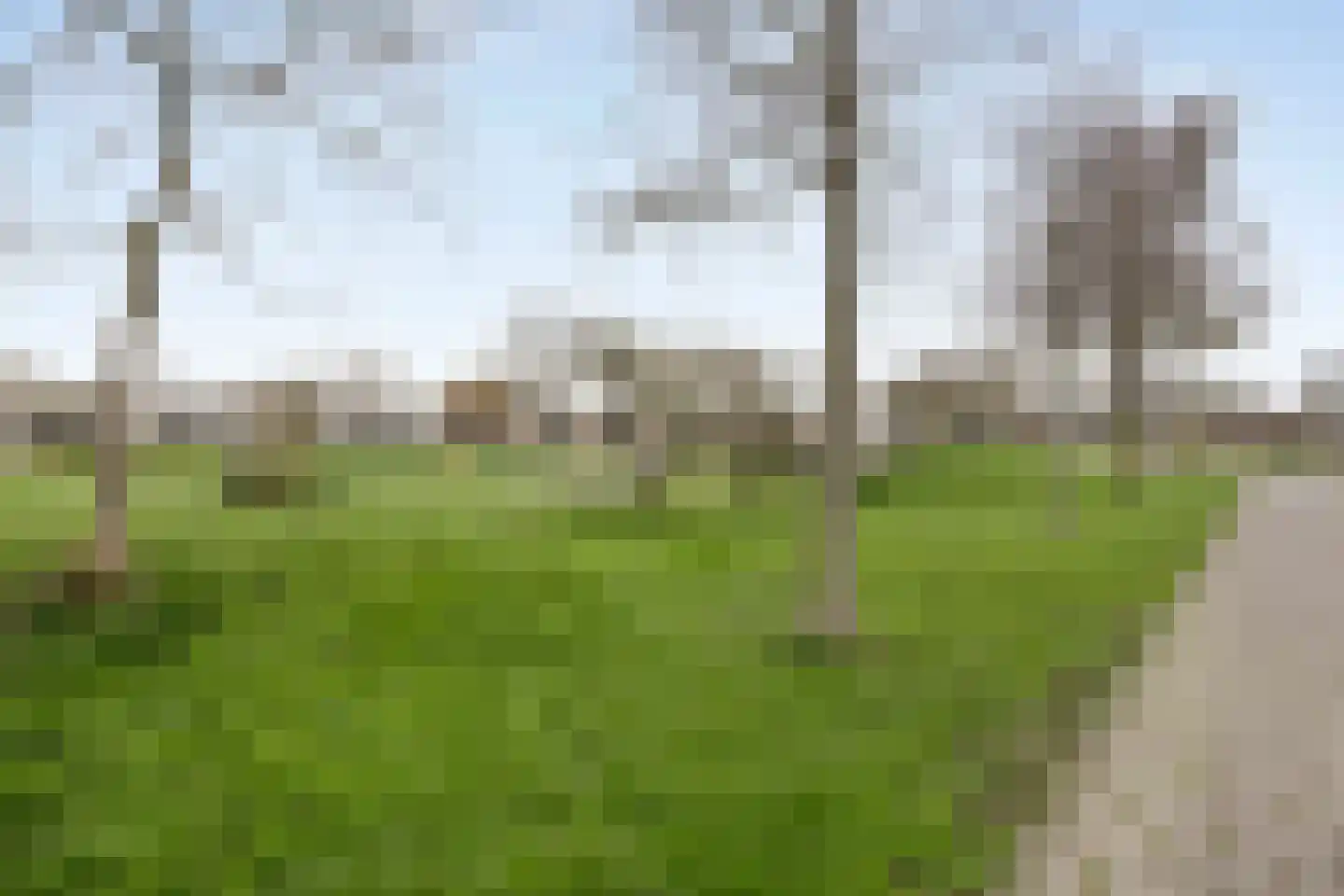 Mina Krusemanstraat 16 Pijnacker thumbnail 46