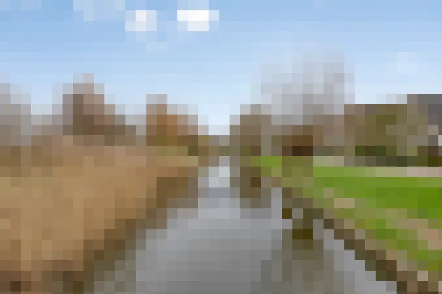 Mina Krusemanstraat 16 Pijnacker thumbnail 50