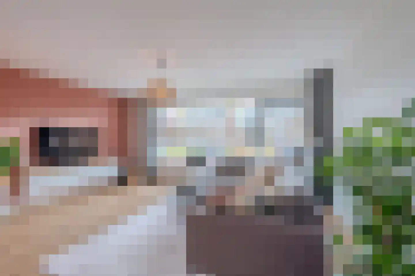 Mina Krusemanstraat 18 Venray thumbnail 10