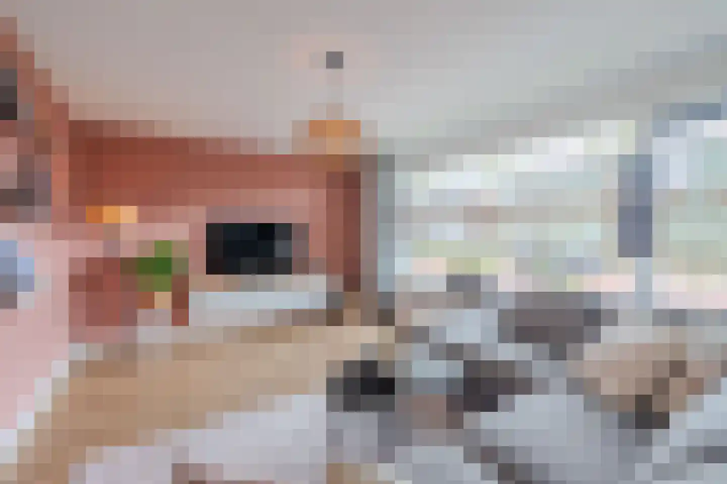 Mina Krusemanstraat 18 Venray thumbnail 12