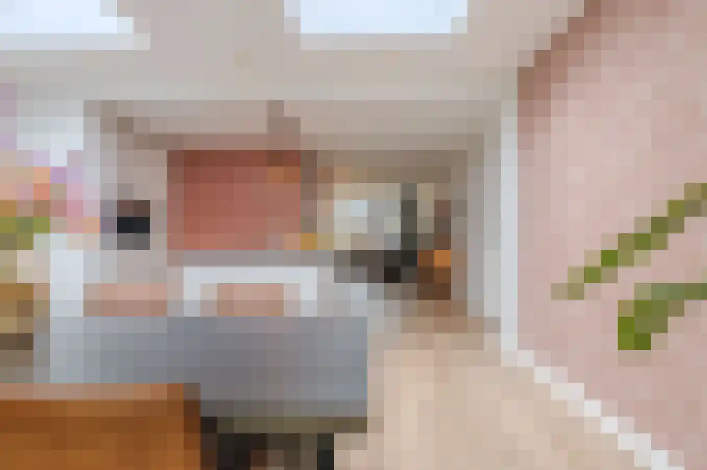 Mina Krusemanstraat 18 Venray thumbnail 30