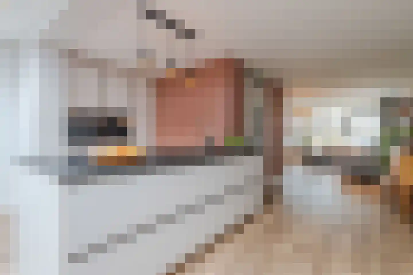 Mina Krusemanstraat 18 Venray thumbnail 37