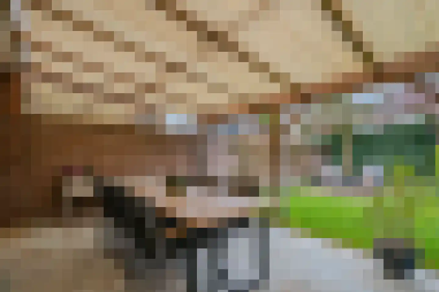 Mina Krusemanstraat 18 Venray thumbnail 56