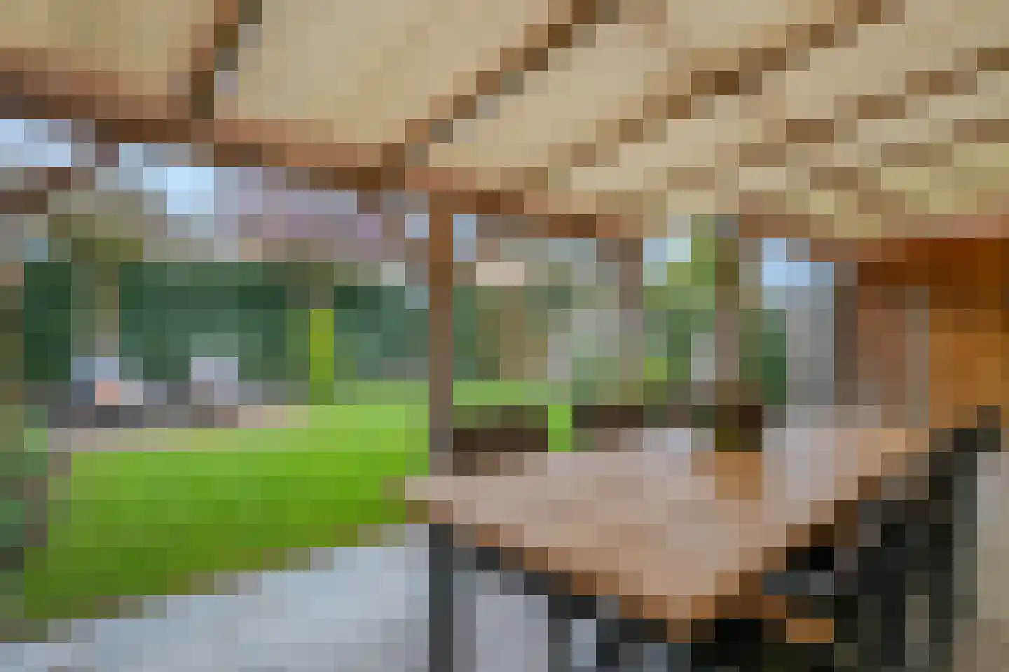 Mina Krusemanstraat 18 Venray thumbnail 58