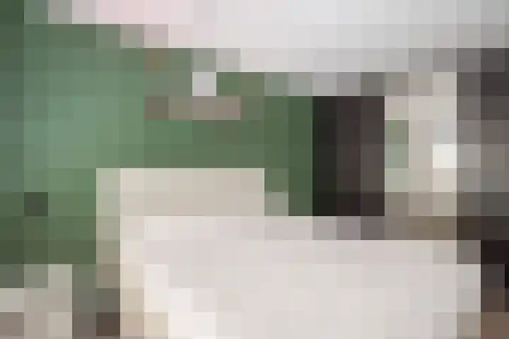 Mina Krusemanstraat 22 Velserbroek thumbnail 24